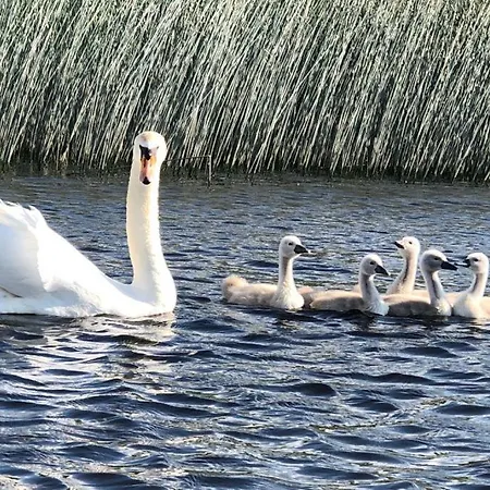 Glebeh Self Catering Vakantiehuis *