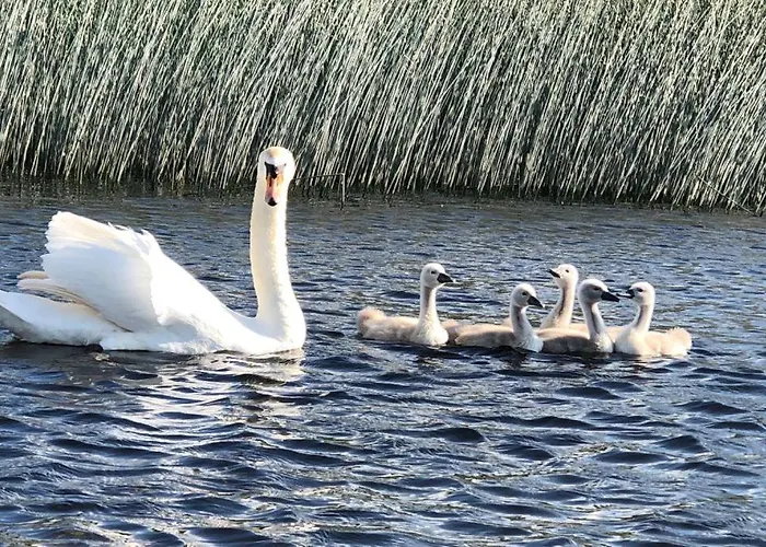 Glebeh Self Catering Дом отдыха *