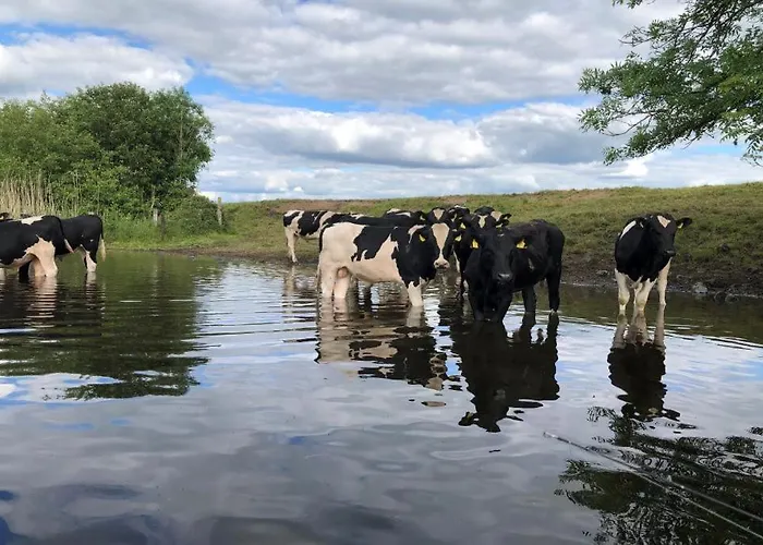 Дом отдыха Glebeh Self Catering Banagher